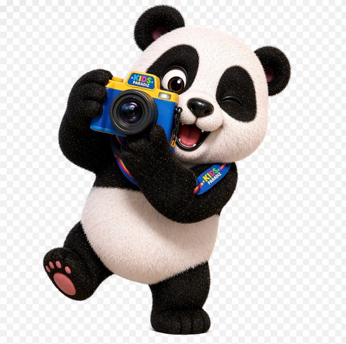 Enzo panda photographe